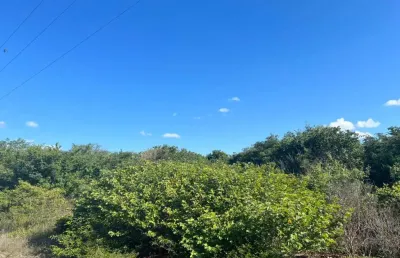 Oportunidade. fazenda para venda na região de avelino lopes-pi com 8.900 hectares, fora do parque, ideal para reserva e frutas como caju e etc
