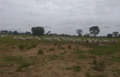 Fazenda para venda na região de planaltina-go com 4.600 hectares sendo 3.500 hectares em pastagem, rio na propriedade, muitas benfeitorias e semovente