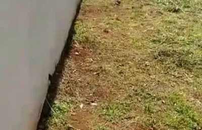 Ótimo terreno de esquina para venda em jardinopolis-sp no jardim das aroeiras, com 222 m2, pronto para construir, terreno plano ja com vizinho
