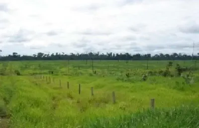 Fazenda grande extensão a venda na região de aripuana-mt com 141.000 hectares sendo 13.000 hectares em pastagem, rica em agua e benfeitorias