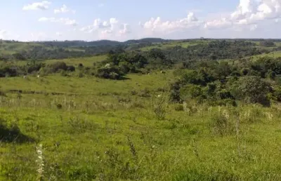 Fazenda para venda na região de pirajui-sp com 73 alqueires na pecuaria, boa de agua, casa sede e mangueira, 15 km da cidade, vende desmembrado