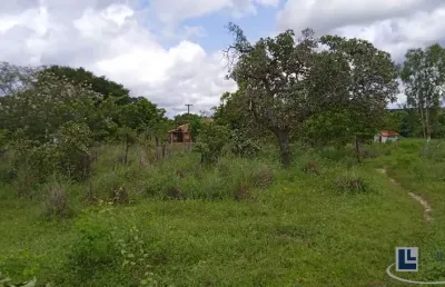 Sitio dupla aptidão para venda em floriano-pi com 70,5 hectares, atual na pecuária, terra boa para lavoura, beira do asfalto, benfeitorias, agua