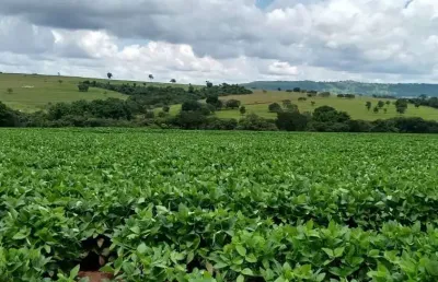 Fazenda para venda na região de cafelandia-sp com 120 alqueires sendo 100 alqueires em soja arrendada, rio na divisa