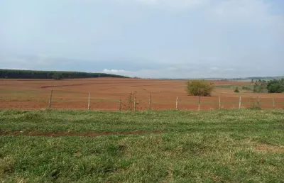 Fazenda dupla aptidao para venda na região de marilia-sp com 142 alqueires, eucalipto, mandioca, amendoim e pastagem