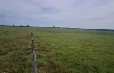 Fazenda na pecuaria para venda na região de mozarlandia-go com 2.100 hectares toda aberta e formada, planta 1.350 hectares, rica em agua e muitas benf