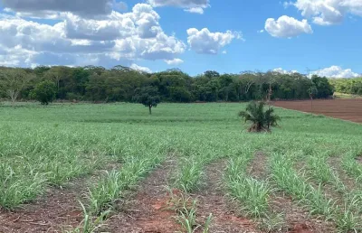 Sitio para venda na região de ouroeste-sp com 19 alqueires sendo 18 alqueires em cana arrendada, aproveita 100%, 3 km do asfalto