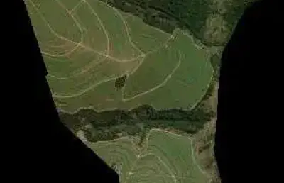 Oportunidade. fazenda para venda na região de presidente prudente-sp com 182 alqueires sendo 109 alqueires em cana arrendada, excedente em mata, sem b