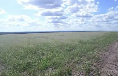 Fazenda para venda na regiao de bom jesus-pi com 1.299  hectares, sendo 200 hectares abertos para lavoura, benfeitorias