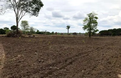 Fazenda para venda em peixe-to com 122,23 hectares em pastagem formada, beira de rio, casa, energia, curral e muita madeira