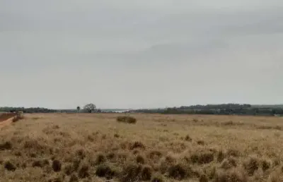 Fazenda para pecuária a venda na região de fernandópolis-sp com 102 alqueires em pastagem, benfeitorias, represa e poço artesiano