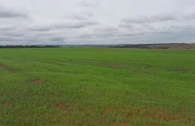 Fazenda para venda na região de presidente prudente-sp com 62 alqueires em soja com pivo, aproveita 88%, rica em agua