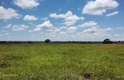 Fazenda dupla aptidão para venda na regia de jales-sp com 77 alqueires, benfeitorias, terra de cultura, aproveita 90%