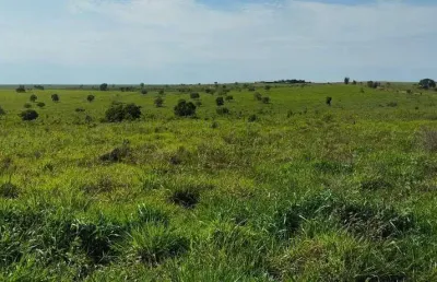 Fazenda para venda na região de sonora-ms com 342 alqueires montada na pecuária, rica em agua e benfeitorias
