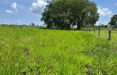 Fazenda dupla aptidão para venda na região de campo grande-ms com 163 alqueires, atual na pecuária, rica em agua, ideal para lavoura de soja