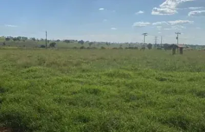 Fazenda dupla aptidao para venda na região de jales-sp com 90 alqueires na pastagem, planta 80 alqueires, benfeitorias
