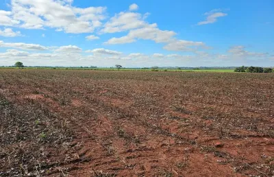 Fazenda para venda na região de presidente prudente-sp com 60 alqueires sendo 50 alqueires agricultáveis para cana, soja, algodão e etc