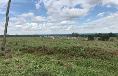 Fazenda para venda na região de jales-sp com 81 alqueires na pecuária, completa em benfeitorias, rica rem agua