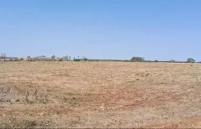 Sitio para venda na região de ouroeste-sp com 28 alqueires sendo 26alqueires em cana arrendada, plana, terra massape