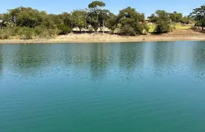 Excelente lote para rancho a venda em delfinopolis-sp com 7.000 m2 de área, mais de 30 m de margem pra represa, já cercado e terraplenagem feita