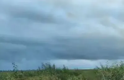 Fazenda dupla aptidão para venda na região de confresa-mt com 815 hectares formada em pastagem, rica em agua e benfeitorias