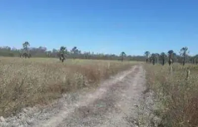 Fazenda para venda em cotegipe-ba com 2.500 hectares, terra plana, no aquifero, pode rodar pivô