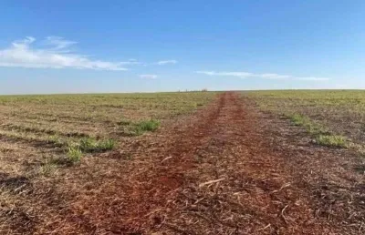 Fazenda para venda na região de pereira barreto-sp com 998 alqueires sendo 900 alqueires em cana arrendada, rica em agua, rio na propriedade.