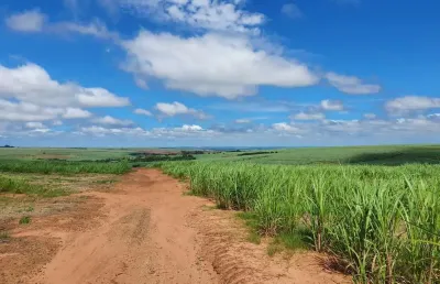Fazenda para venda na região de jales-sp, com 240 alqueires sendo 186 alqueires em cana arrendada mais pastagem