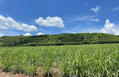 Fazenda dupla aptidão para venda na regiao de porto ferreira-sp, com 106 alqueires sendo 55 alq em cana arrendada mais 25 alq em pasto, boa de agua