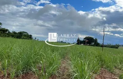 Sitio para venda na região de são carlos-sp, com 10 alqueires sendo 8 alqueires em cana arrendada mais pasto, casa simples, terra massape