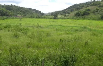 Excelente fazenda tripla aptidão para venda na região de teofilo otoni-mg, com 420 hectares, abundante em agua, pastagem, estrutura completa, porteira