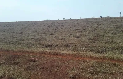 Fazenda dupla aptidão para venda na região de porto ferreira-sp com 67 alqueires, atual na pecuária, benfeitorias, rica em agua, rio na divisa