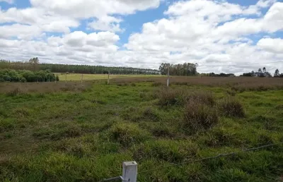Linda fazenda para pecuária a venda na região de paranapanema-sp, porteira fechada, 40 alqueires, boa de agua, benfeitorias