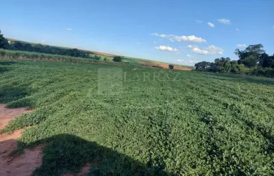 Sitio para venda em dobrada-sp, com 10,5 alqueires, dentro da cidade, ideal para urbanização, muito bem estruturado com varias benfeitorias, mina