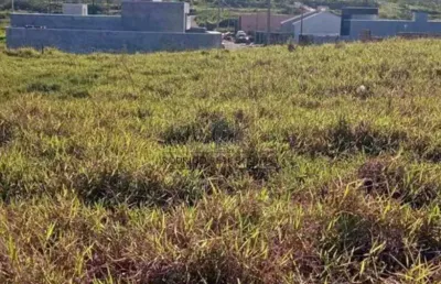 Terreno à venda na Rua Seringueira, Jardim Tropical, Mandaguaçu