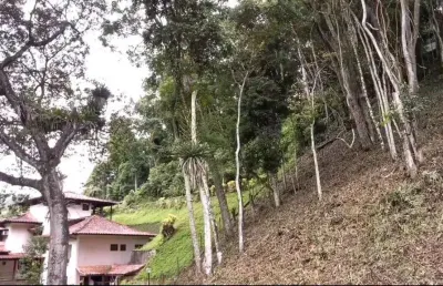 Terreno em condomínio para venda em petrópolis, itaipava