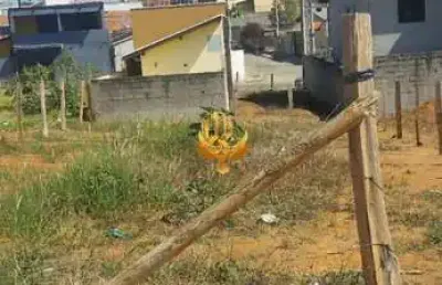 Terreno à venda em taubaté-sp, jardim continental iii  250m² de área!