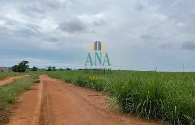 Terreno à venda no Centro, Araraquara 