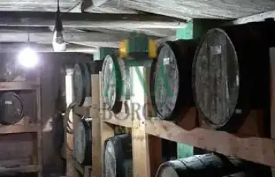Fazenda em pinus em são miguel arcanjo 545,59 hectares