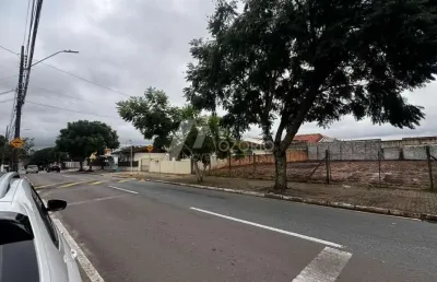 Terrenos para locação no iguaçu - 750m² - r$2.500,00