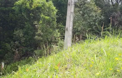 Área industrial com 10.854,33m² , à venda, no bairro contenda em são josé dos pinhais