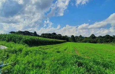 Terreno com 107.690m² , à venda, no bairro campo largo da roseira em são josé dos pinhais