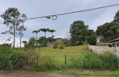 Terreno com 2.000m² , para aluguel, no bairro colônia murici em são josé dos pinhais