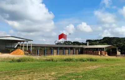 Barracão com 2.000m² , para aluguel, no bairro campo largo da roseira em são josé dos pinhais