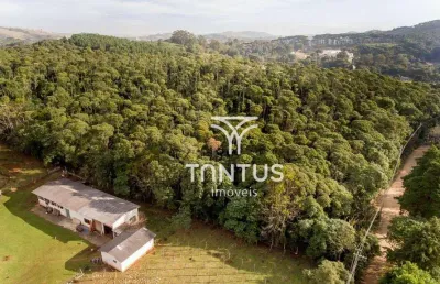 Área à venda, 76040 m² por r$ 1.700.000,00 - boichininga - almirante tamandaré/pr