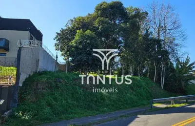 Terreno à venda, 507 m² por r$ 189.900,00 - nossa senhora das graças - quatro barras/pr