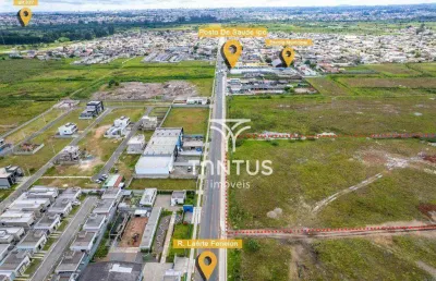 Terreno para alugar, 30.816 m² por r$ 61.632,00/mês - ipê - são josé dos pinhais/pr