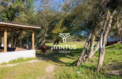 Chácara à venda, 97074 m² por r$ 2.100.000 - weissópolis - pinhais/pr