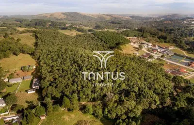 Chácara à venda, 76040 m² por r$ 1.700.000,00 - boichininga - almirante tamandaré/pr