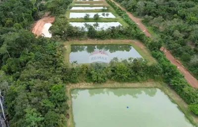 Vendo fazenda arapaima no km 25 da estrada de novo airão-am