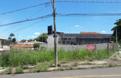 Terreno comercial para alugar na josé de almeida, 1662, nova campinas, campinas por r$ 3.700
